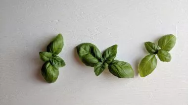 garnishing-instructions-image